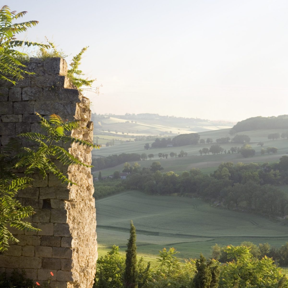 The-Castelnau-des-Fieumarcon-South-West-France-Gascony-Landscape-Views-2-scaled The-Castelnau-des-Fieumarcon-South-West-France-Gascony-Landscape-Views-2-scaled
